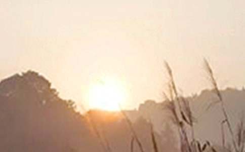 常用适合给朋友的早安微信问候语22句