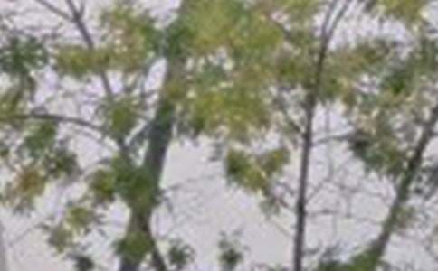 2021年有关动人的早安问候语语录22句