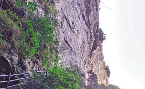 �����żҽ���Ȼ��������