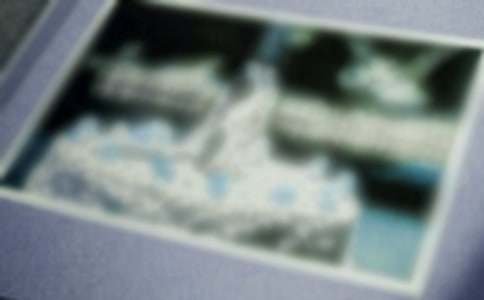 ��Ƭ��Ĺ��³�һ����