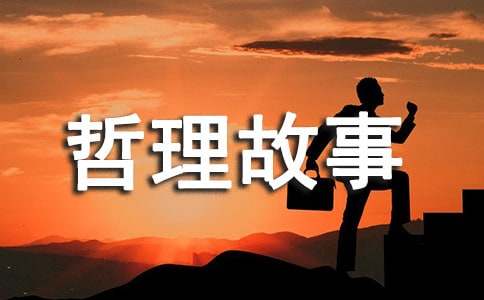 ѡ��������������