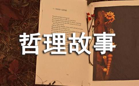 �����Ԣ����������