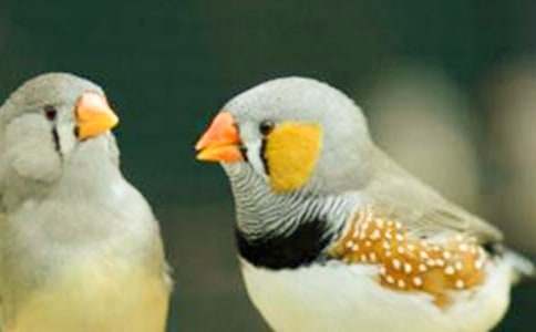 �������񡷵ڶ���ʱ�̰�