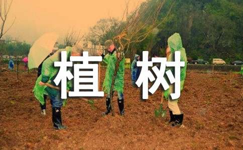 ֲ����ܽ�