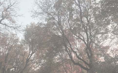 ֲ��԰����Сѧ����