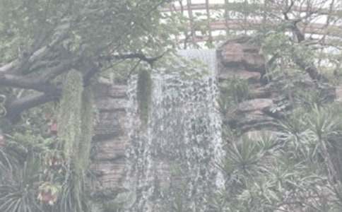 ֲ��԰�μ����꼶����