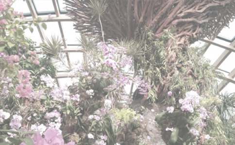 �����ֲ��԰����15ƪ