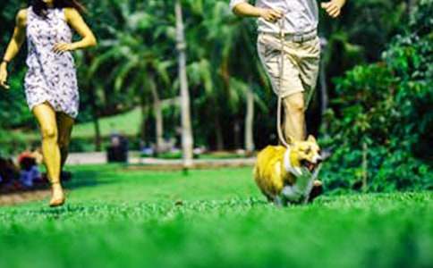 ��ĩȤ���ܼ�Сѧ���꼶