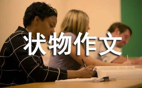 【精华】三年级状物作文300字锦集十篇