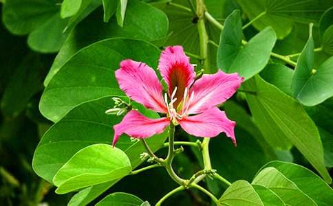 �й��Ͼ�������500����ƪ