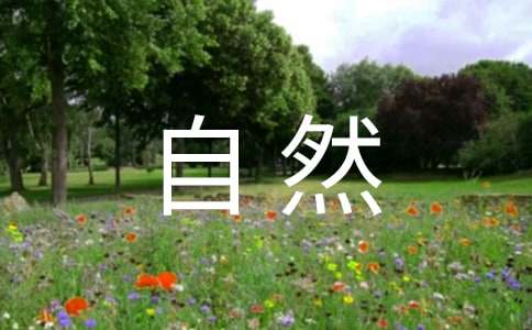 自然流露作文600字(通用24篇)