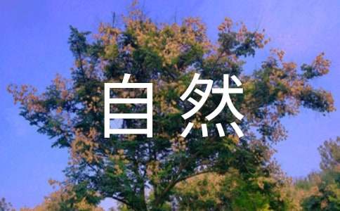 【推荐】大自然的作文400字四篇