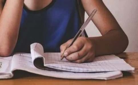 种子的作文600字