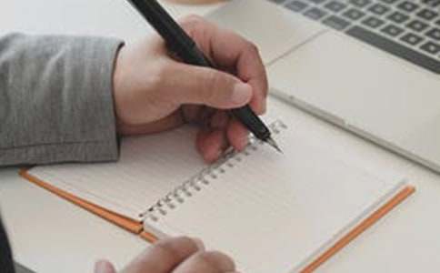 动物作文500字集合5篇