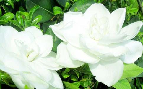 �������ӻ�����500��6ƪ