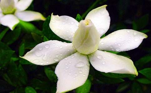 ����Ʒ�����ӻ�����500��4ƪ