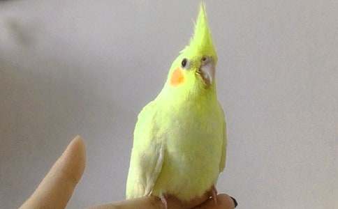 ��������400��