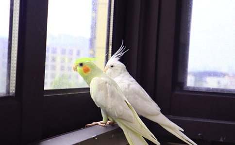 ���ĵ�����600�ֻ��[6ƪ]