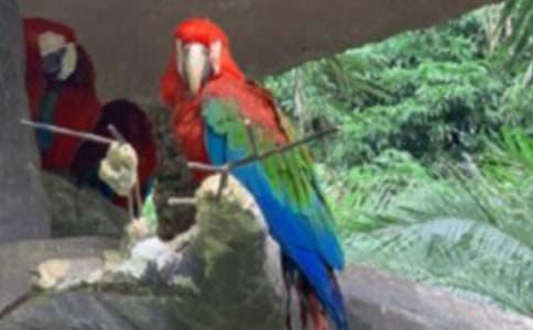 (��)�ҵĶ���������������15ƪ