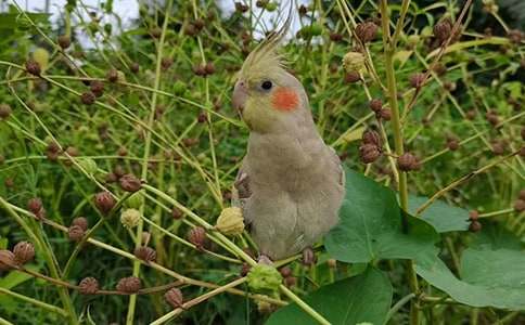 ���ĵ�����300��(����15ƪ)