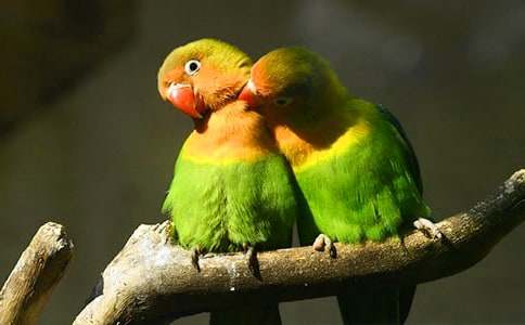 �ҵĶ���������������[��]