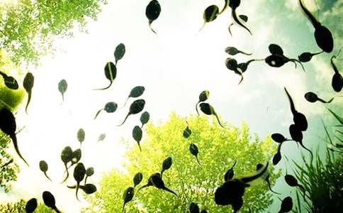 С���������̰�