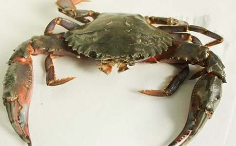 ��ʵ�á��з����600�־�ƪ