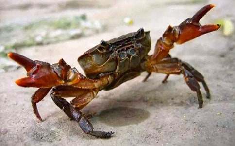 �۲��з����300��