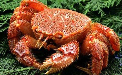 (�ر�)�¶���С�з�����