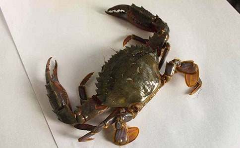 �з����600�ַ���[7ƪ]