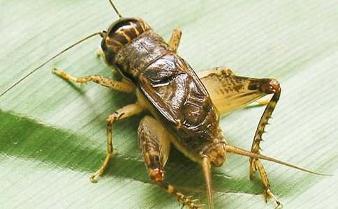 �������300��4ƪ(��)