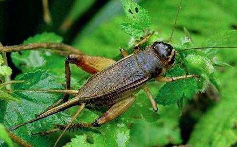 ������300�֡��ر�3ƪ��