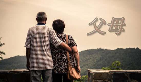 我的父母五年级作文