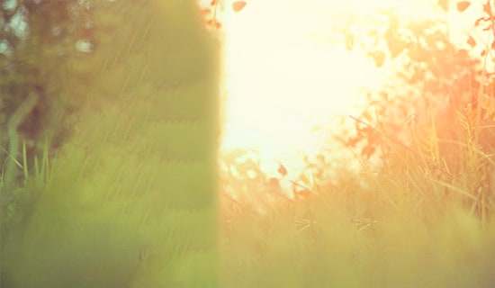 生活唯美感言汇总180句