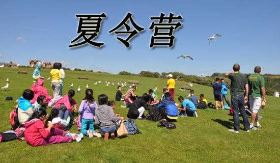 д�����Ӳμ�����Ӫ��һ����9ƪ[��ѡ]