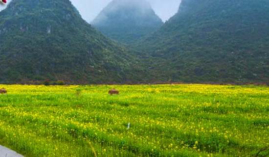 �Ǵδ��Σ������˰���һ��